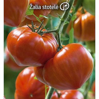 Compra TOMATE GOURMANDIA F1 (1000 Semillas). en la tienda online Fito Agrícola