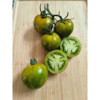 Compra TOMATE GREEN BEE F1 (1.000 Semillas) en la tienda online Fito Agrícola