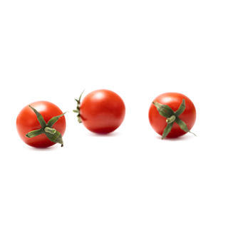 Compra TOMATE GUINDO RZ F1 (1.000 Semillas). en la tienda online Fito Agrícola