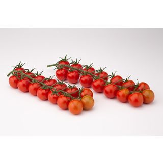 Compra TOMATE INTUITIVO F1 (1000 Semillas). en la tienda online Fito Agrícola