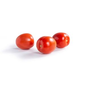 Compra TOMATE MARGYMENO RZ F1 (1.000 Semillas). en la tienda online Fito Agrícola