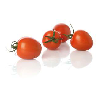 Compra TOMATE MONTANER RZ F-1 (1000 Semillas). en la tienda online Fito Agrícola