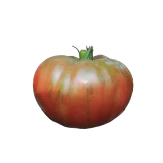 Compra TOMATE NEGRO DE CRIMEA Sel. Batllepro (1000 Semillas). en la tienda online Fito Agrícola