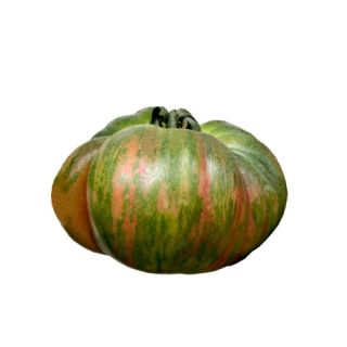 Compra TOMATE ROZALI F1 (1.000 Semillas) en la tienda online Fito Agrícola