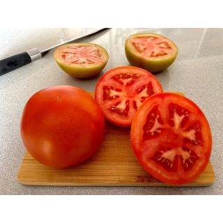 Compra TOMATE SVTH5912 F1 (1.000 Semillas) en la tienda online Fito Agrícola