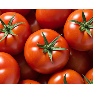 Compra TOMATE CALVI F1 (1.000 Semillas) en la tienda online Fito Agrícola