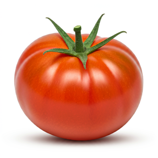 Compra TOMATE LEBRIJANO RZ F1 (1.000 Semillas). en la tienda online Fito Agrícola