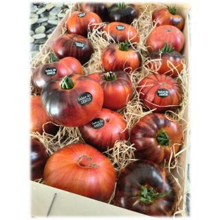 Compra TOMATE TOMABLUE F1 (1.000 Semillas) en la tienda online Fito Agrícola