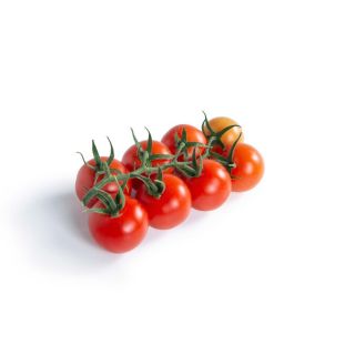 Compra TOMATE VIVALTO RZ F1 (1.000 Semillas). en la tienda online Fito Agrícola