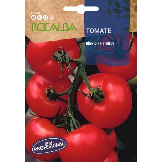 Compra TOMATE WILLY F-1 (Cerca de 30 Semillas) en la tienda online Fito Agrícola