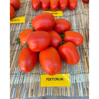 Compra TOMATE PIKTORUM F1 (1000 Semillas). en la tienda online Fito Agrícola