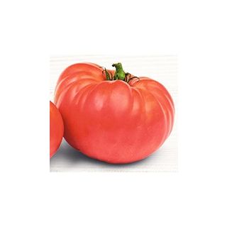 Compra TOMATE PINK WORLD (1000 Semillas) en la tienda online Fito Agrícola