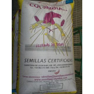 Compra AVENA SATIVA ALBATROS R-2 (25 Kgr.) en la tienda online Fito Agrícola