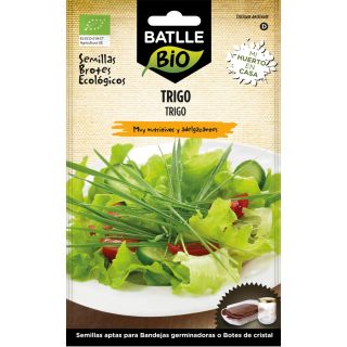 Compra TRIGO MICROGREENS ECOLÓGICO (33 gr.). en la tienda online Fito Agrícola