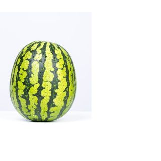 Compra SANDÍA TROPHY F1 (1.000 Semillas) en la tienda online Fito Agrícola