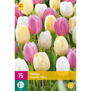 Compra TULIPÁN SORBET MIX XXL en la tienda online Fito Agrícola