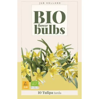 Compra TULIPÁN TARDA BIO en la tienda online Fito Agrícola