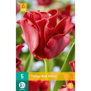 Compra TULIPÁN RED DRESS en la tienda online Fito Agrícola