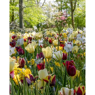 Compra WILD GARDEN (100 Unid.). en la tienda online Fito Agrícola