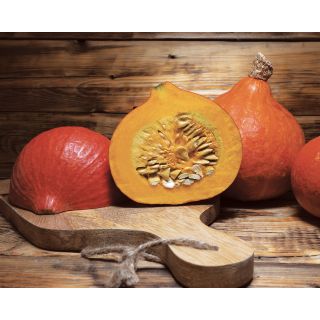 Compra CALABAZA UCHIKI KURI F1 (500 Semillas). en la tienda online Fito Agrícola