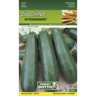 Compra CALABACÍN AMBASSADOR F1 (3,4 - 5 gr.). en la tienda online Fito Agrícola