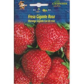 Compra FRESA GIGANTE ROSA (0,15 gr.). en la tienda online Fito Agrícola