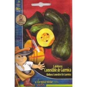 Compra CALABAZA DE GUERNICA (3 gr.). en la tienda online Fito Agrícola