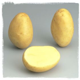 Compra PATATA DE SIEMBRA MONALISA NL 35/45 BIO [M] (3 Kgr.). en la tienda online Fito Agrícola