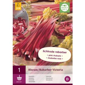 Compra RUIBARBO VICTORIA (1 Unid.). en la tienda online Fito Agrícola