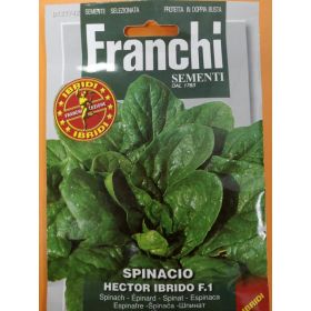 Compra ESPINACA HECTOR F1 (12 gr.). en la tienda online Fito Agrícola