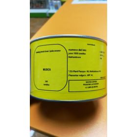 Compra JUDÍA MÚSICA (500 Semillas) en la tienda online Fito Agrícola