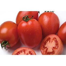 Compra TOMATE BYELSA F1 (1.000 Semillas) en la tienda online Fito Agrícola