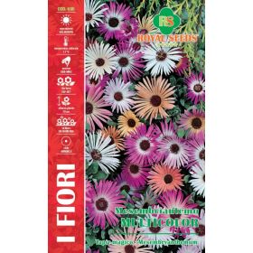 Compra MESEMBRYANTHEMUM MULTICOLOR (2 gr.). en la tienda online Fito Agrícola