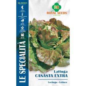 Compra LECHUGA CANASTA Sel. Extra (5 gr.) en la tienda online Fito Agrícola