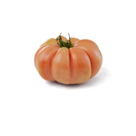 Compra TOMATE ROSAMEI F-1 (1.000 Semillas) en la tienda online Fito Agrícola