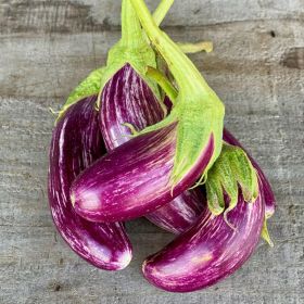 Compra BERENJENA TSAKONIKI AB (50 Semillas). en la tienda online Fito Agrícola