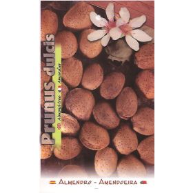 Compra ALMENDRO ANTOÑETA en la tienda online Fito Agrícola