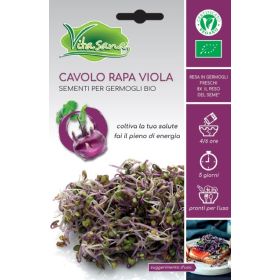 Compra COLIRRÁBANO VIOLETA GERMINADOS BIO (10 gr.) en la tienda online Fito Agrícola