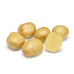 Compra PATATA DE SIEMBRA TWISTER FR 28/35 BIO [M] (25 Unid.). en la tienda online Fito Agrícola