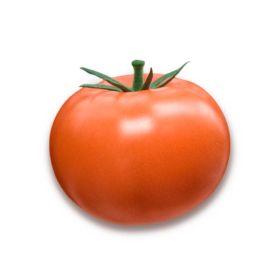 Compra TOMATE NOVERO F-1 (1000 Semillas). en la tienda online Fito Agrícola